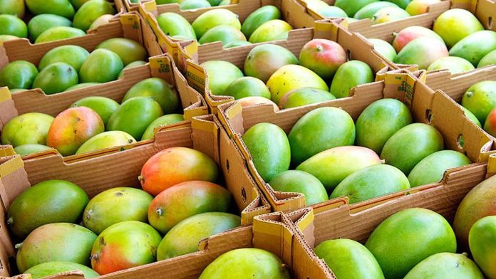 mango