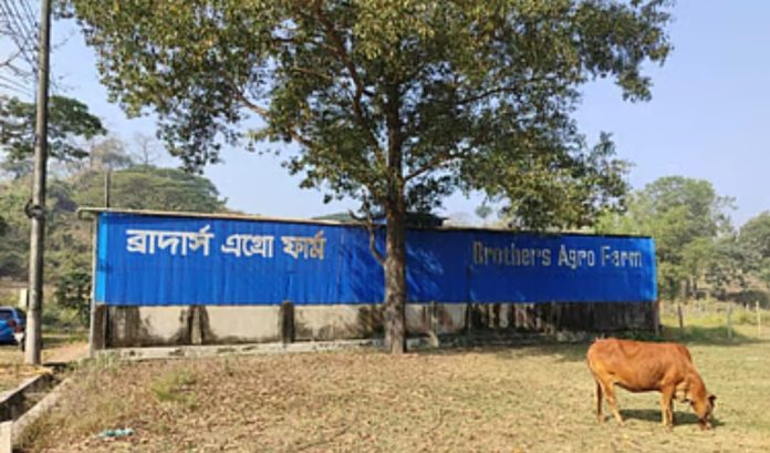 badsa agro0007