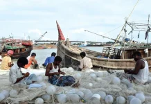 আজ থেকে বঙ্গোপসাগরে ৫৮ দিন মাছ ধরা যাবে না