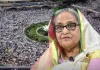 শাপলা চত্বর হত্যা মামলা: তদন্ত প্রতিবেদন প্রসিকিউশনের হাতে, আসামি শেখ হাসিনাসহ ৪১ জন