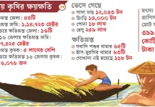 বন্যার ক্ষতচিহ্ন কৃষিতে, ডুবেছে ১.১৪ লাখ হেক্টর জমির ফসল