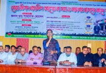 ওয়াসিম আকরাম ও আবু সাঈদ ছিলেন সাহস ও দেশপ্রেমের প্রতীক