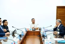 বিদেশি বিনিয়োগকারীদের সহযোগিতায় প্রস্তুত সরকার: প্রধানমন্ত্রী