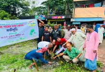বজ্রপাত রোধে ৫ কিলোমিটার সড়কের পাশে তালগাছ রোপন করছেন ওমর শরীফ