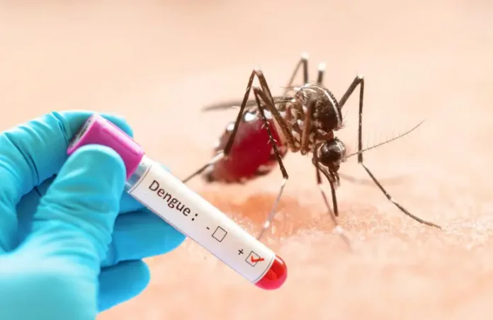 dengue