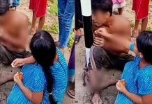 ‘রাজকন্যা’ বদলে দিল খুঁটিতে বাঁধা অনিকের ভাগ্য