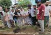 সরাইপাড়া ওয়ার্ডে বিএনপির সপ্তাহব্যাপী বৃক্ষরোপণ কর্মসূচি