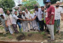 সরাইপাড়া ওয়ার্ডে বিএনপির সপ্তাহব্যাপী বৃক্ষরোপণ কর্মসূচি