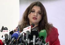 জ্বালানির বিকল্প উৎস খুঁজছে বাংলাদেশ: পররাষ্ট্র প্রতিমন্ত্রী