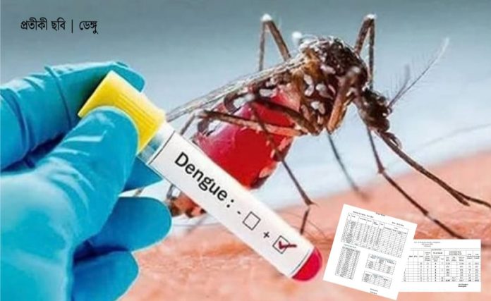 dengue0008